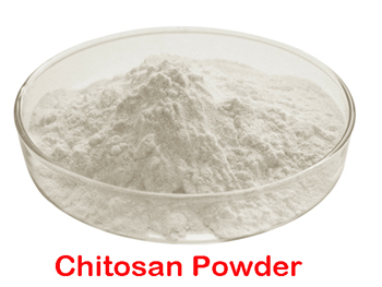What Is Chitosan Powder？
